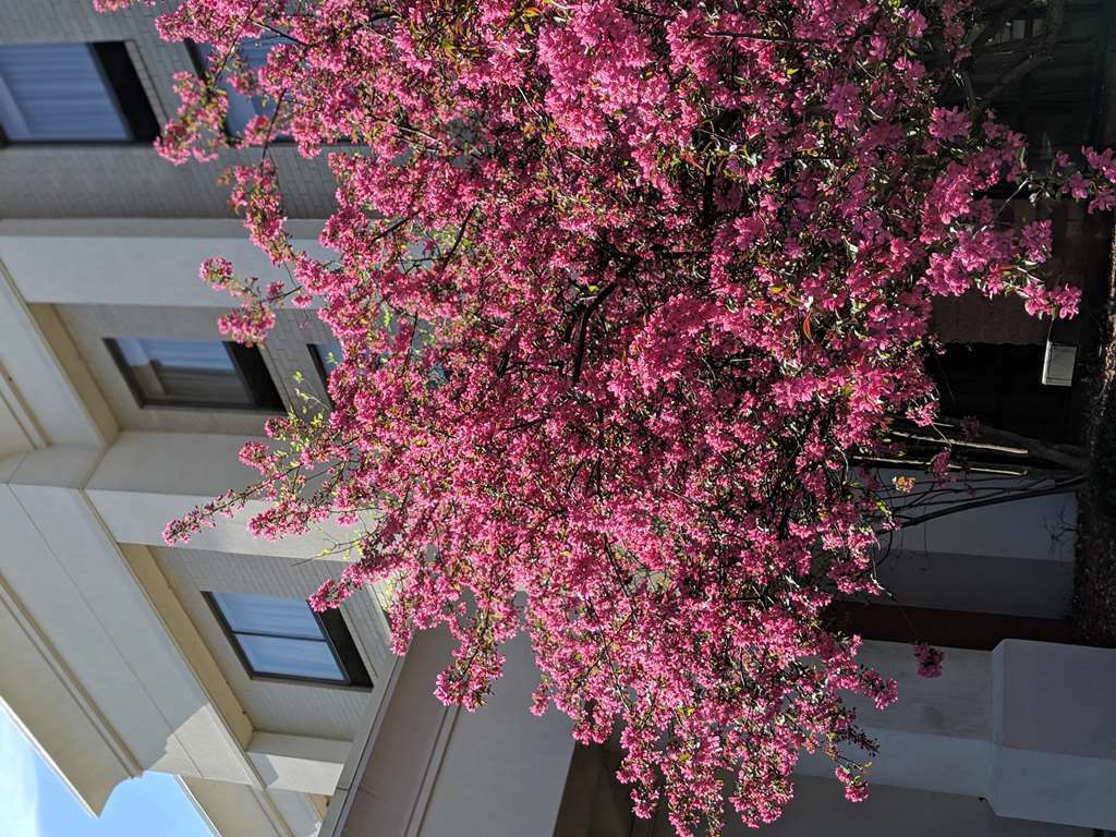 Hampton Inn & Suites Cincinnati-Union Centre Уэст-Честер Экстерьер фото
